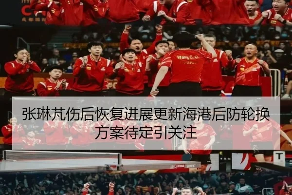 张琳芃伤后恢复进展更新海港后防轮换方案待定引关注